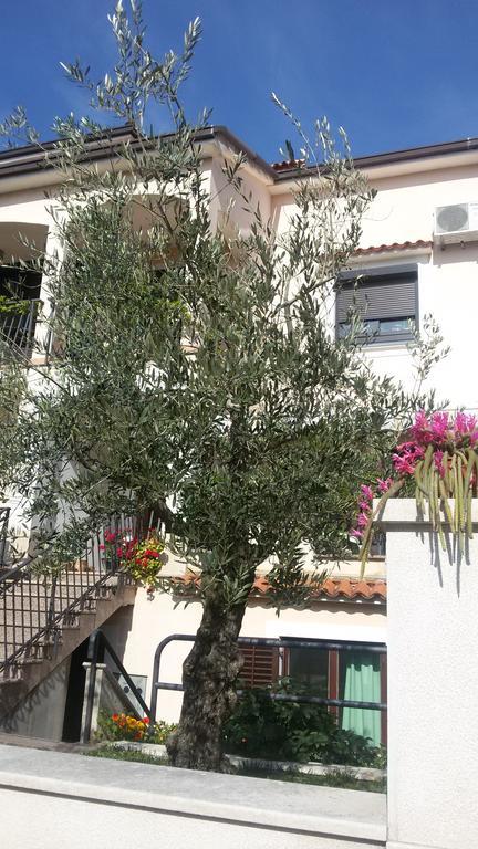 Apartment Ljubica Orsera Esterno foto