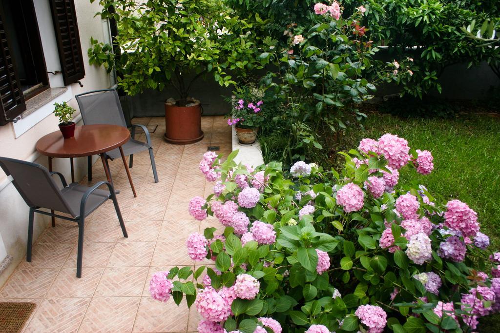 Apartment Ljubica Orsera Esterno foto